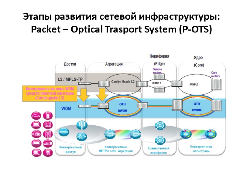 Этапы развития сетевой инфраструктуры: Packet – Optical Trasport System (P-OTS)